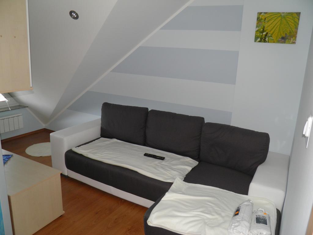 Guesthouse Prenocisca Sirec Ptuj Quarto foto